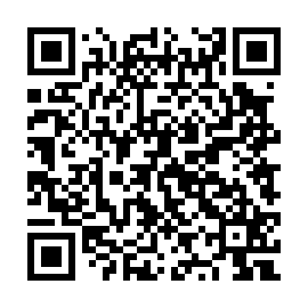 QR code for NYT025