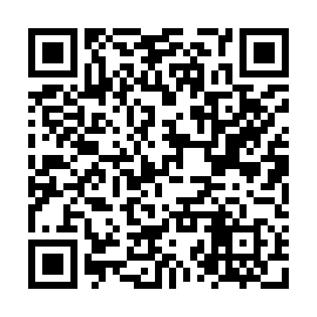 QR code for NZP958