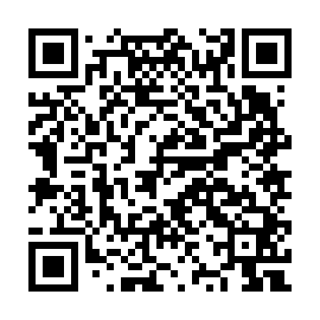 QR code for NZZ640