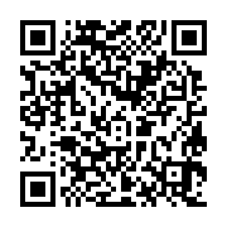 QR code for OAG383