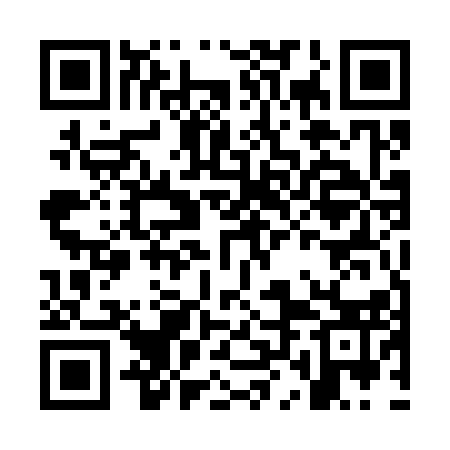 QR code for OLE313