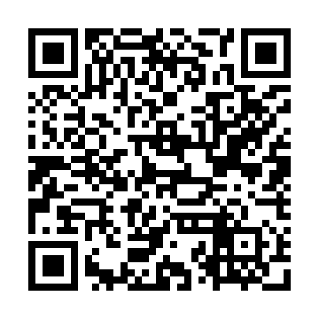 QR code for OZG950