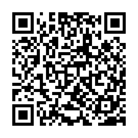 QR code for PAA175