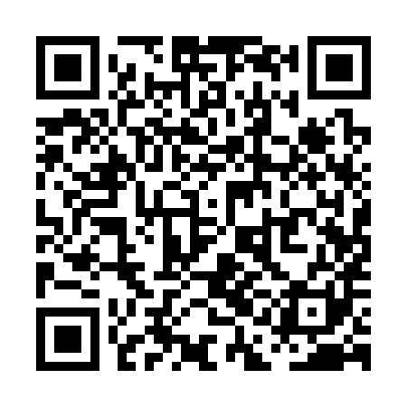 QR code for PAA381
