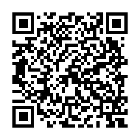 QR code for PAH696