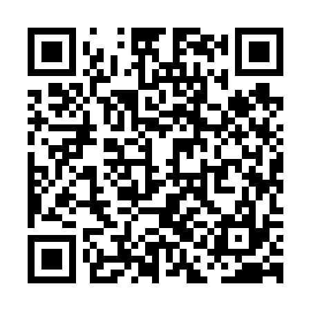 QR code for PAI637