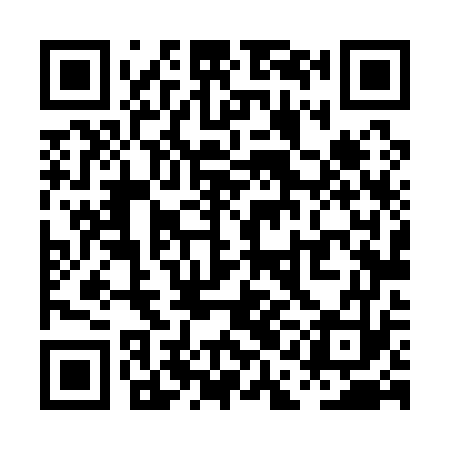 QR code for PAL173