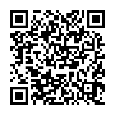 QR code for PAV943