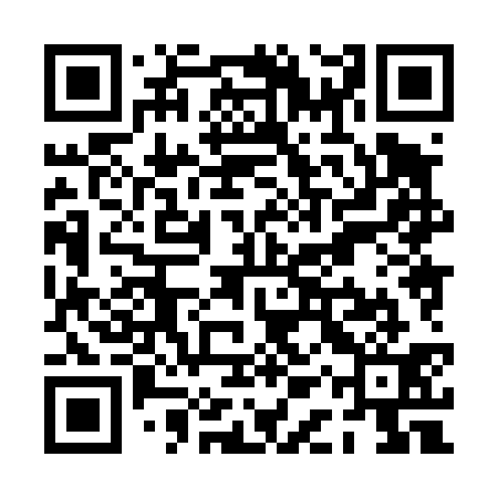 QR code for PAX431