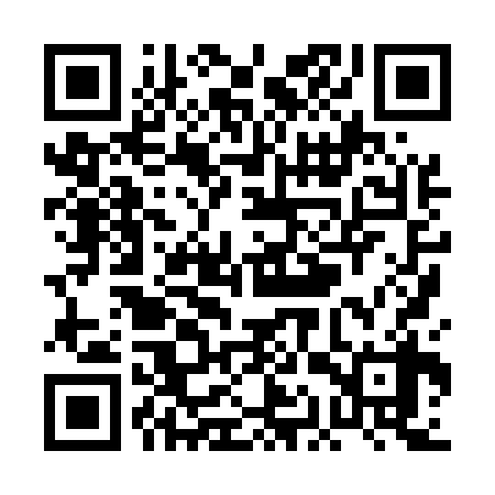QR code for PAX538