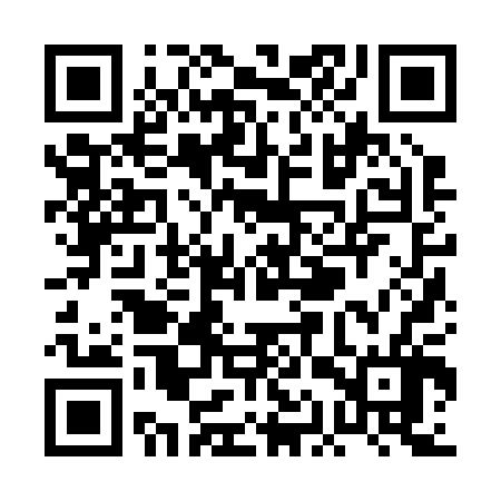 QR code for PAZ206