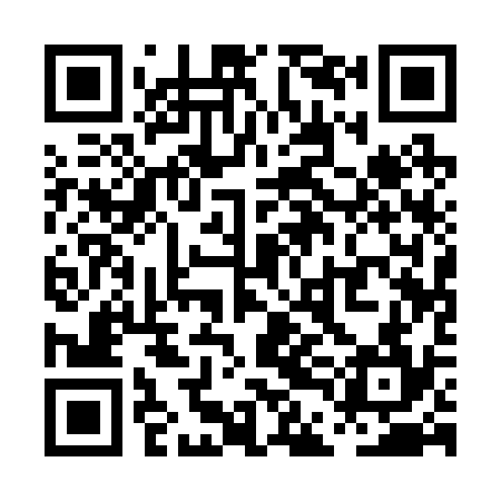 QR code for PDA234