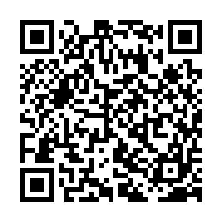 QR code for PDI317