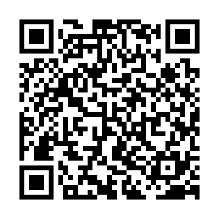 QR code for PDI335