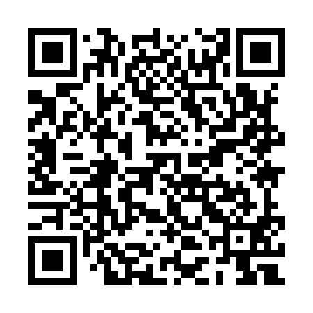 QR code for PDI991