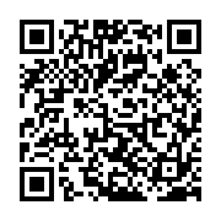 QR code for PFG133