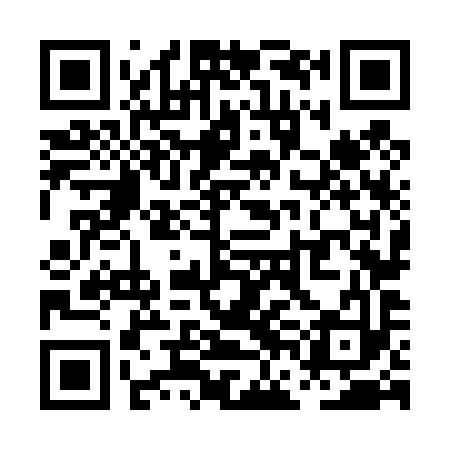 QR code for PFN493