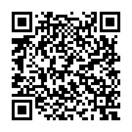 QR code for PFS955