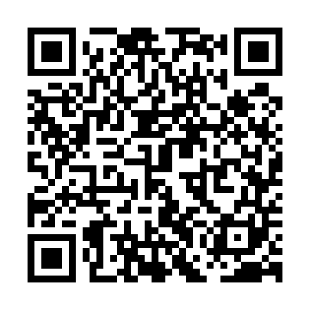 QR code for PGG541