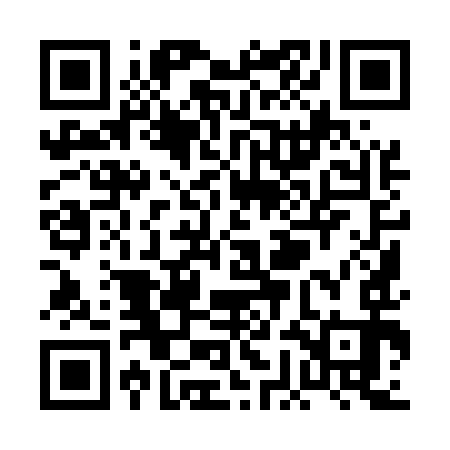 QR code for PGI593