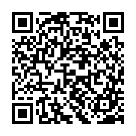 QR code for PGM347