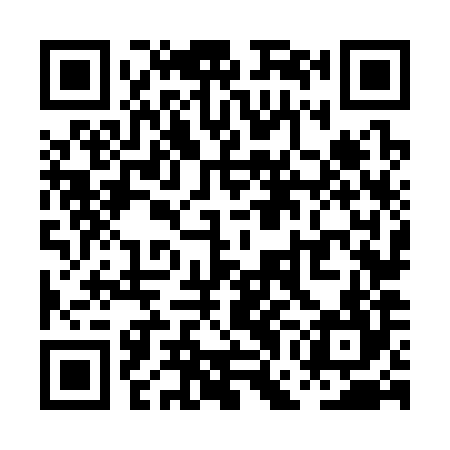 QR code for PGN384