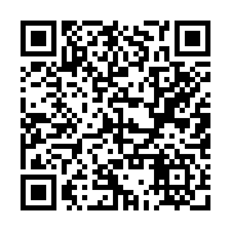 QR code for PGU347