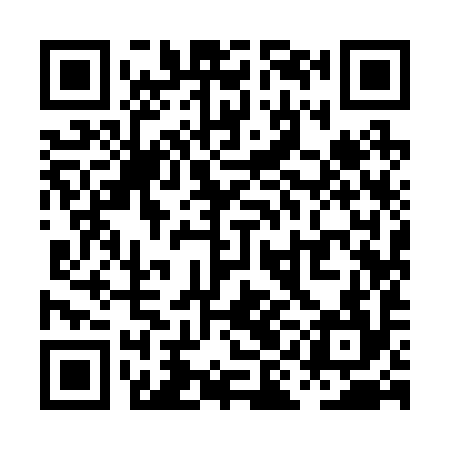 QR code for PII294