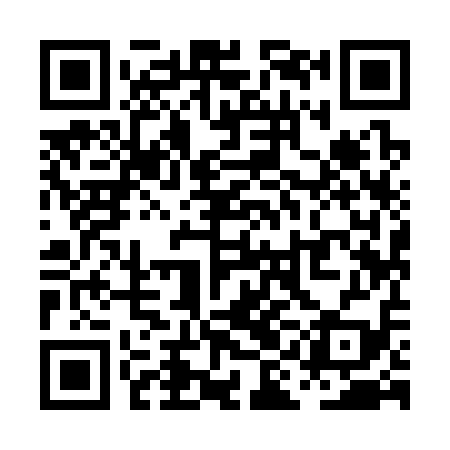 QR code for PII319