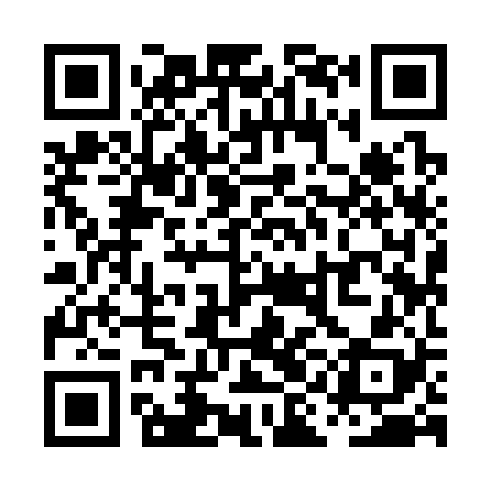 QR code for PII328