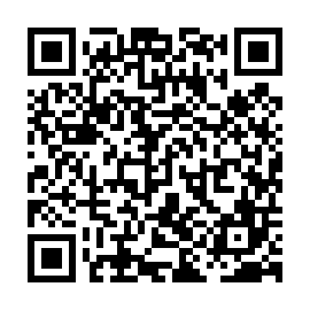 QR code for PII406
