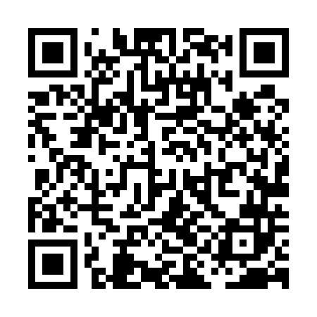 QR code for PIL542