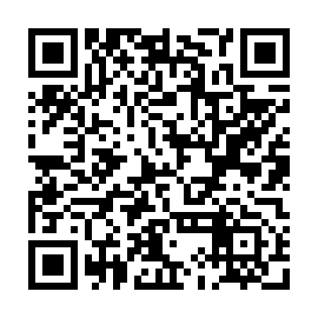 QR code for PIN653