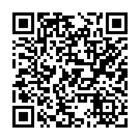 QR code for PIP993