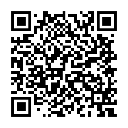 QR code for PIQ595