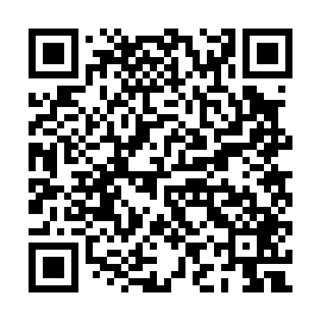 QR code for PIR049