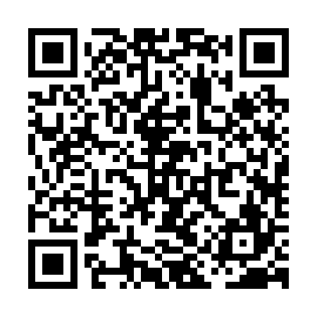 QR code for PIR226
