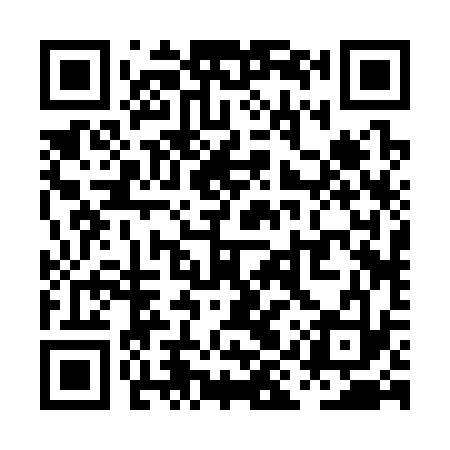 QR code for PIR333