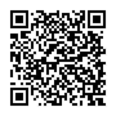 QR code for PIT593