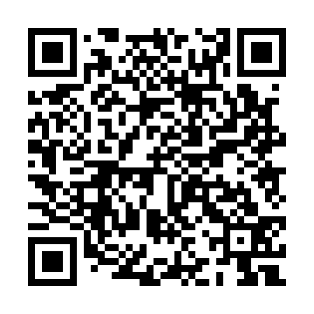 QR code for PJP133