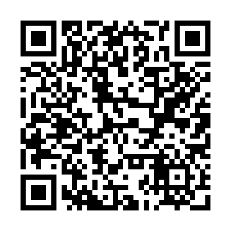 QR code for PJT386