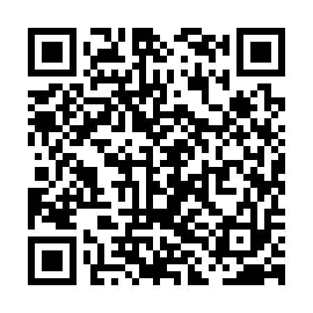 QR code for PLI313