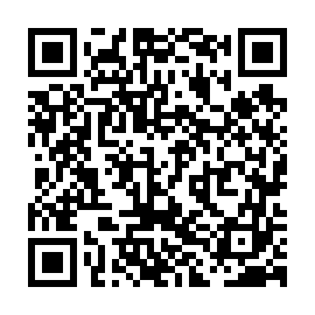 QR code for PLN663