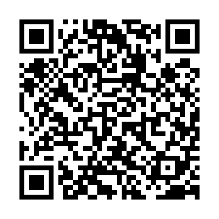 QR code for PLQ509