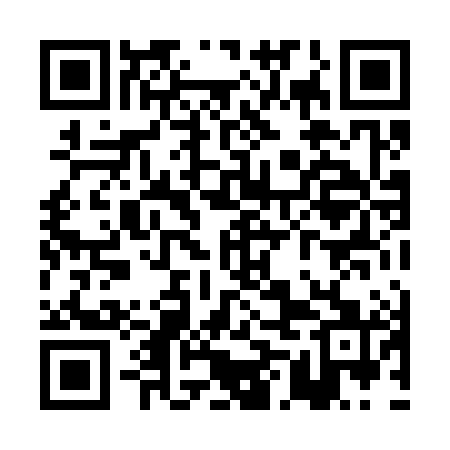 QR code for PML381