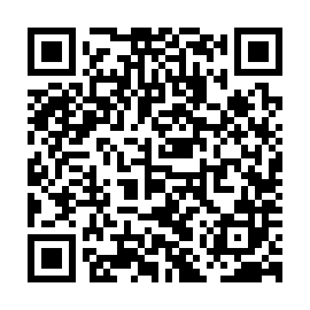 QR code for PMV382