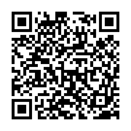 QR code for PNK453