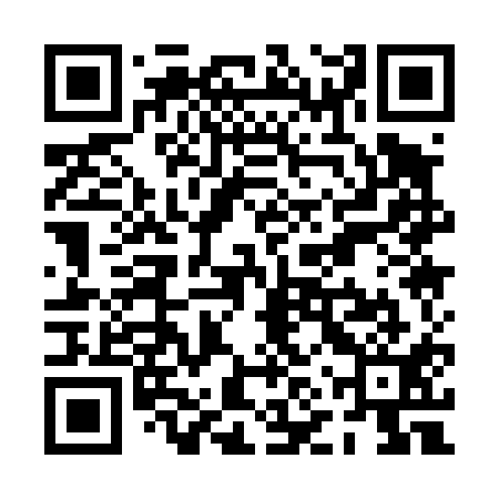 QR code for PNQ411