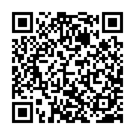 QR code for PNT381