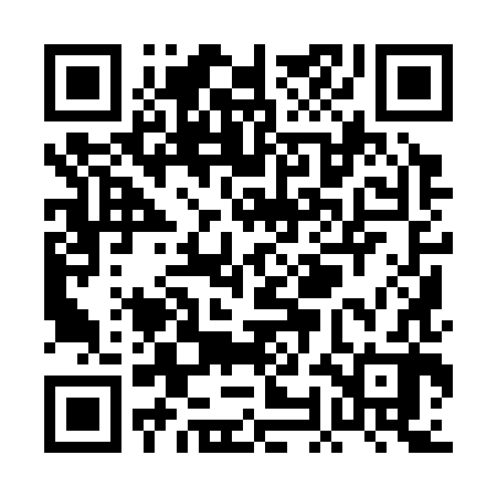 QR code for POI382